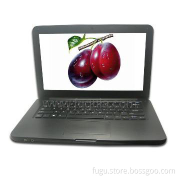 13.3 inch dual core laptop with hard drives 2gb 250hdd